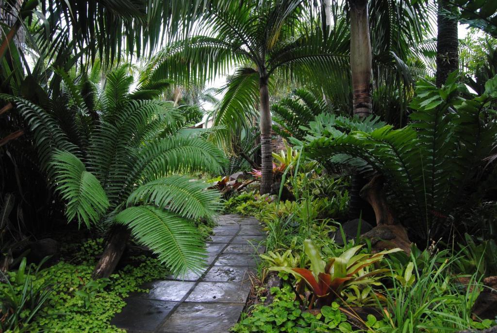 Buya Futhi Bed & Breakfast Saint Lucia Estuary エクステリア 写真
