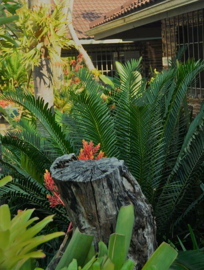 Buya Futhi Bed & Breakfast Saint Lucia Estuary エクステリア 写真